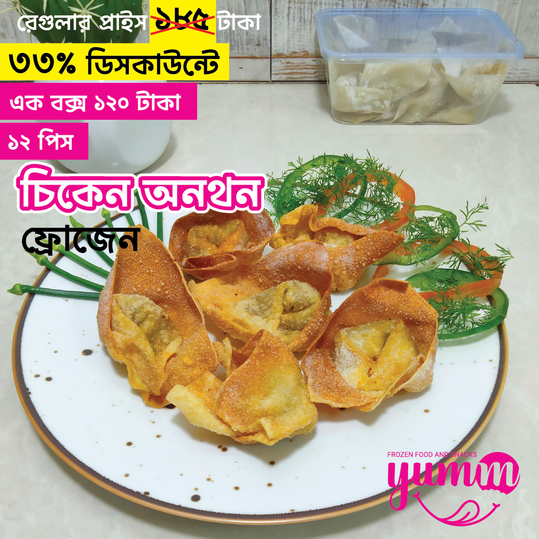 27 Frozen Chicken Wonton - Image 1